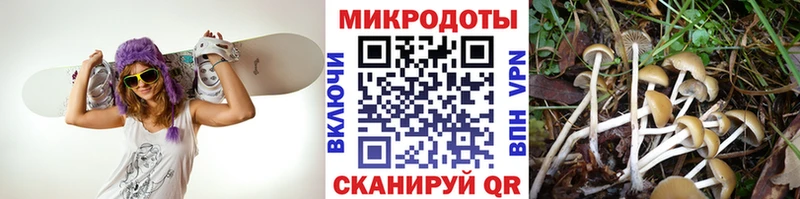 Галлюциногенные грибы мухоморы Уфа